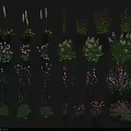 Various Colorful Flowers And Plants With White Pink Purple Blooms And Green Leaves Neatly Arranged