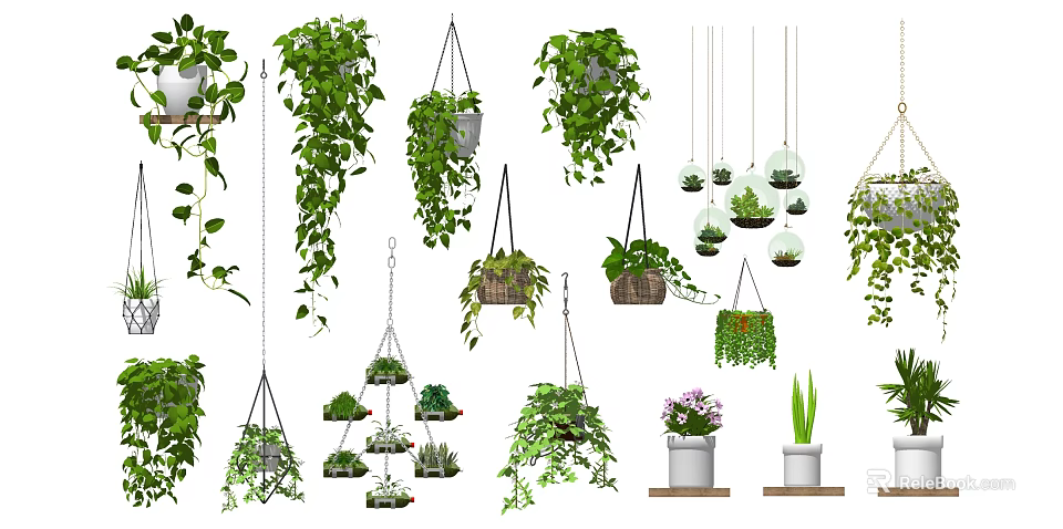 Bonsai Potted Plants For Indoor Decor With Hanging Planters And Shelf Greenery 3d model 