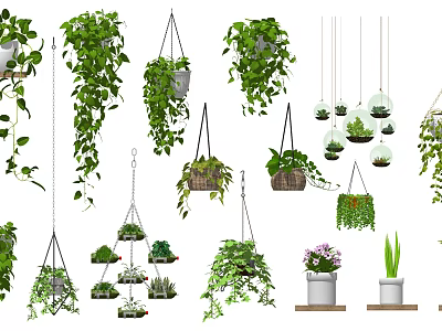 Bonsai Potted Plants For Indoor Decor With Hanging Planters And Shelf Greenery 3d model