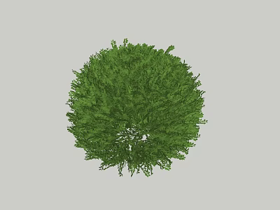 Lush Round Green Shrub With Dense Healthy Foliage And Vibrant Leaves 3d model