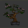 Decorative Bonsai Plant With Green Leaves And Pink Flowers In Square Pot