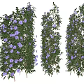 Three Different Decorative Vines with Green Leaves and Purple Flowers