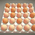 Fresh Chicken Eggs In White Carton With Brown And Cream Colored Shells