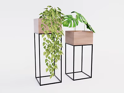 Potted Plants In Wooden Pots On Black Metal Stands With Hanging Vines And Large Leaves 3d model