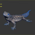 Exotic Lizard With Unique Patterned Scales And Long Tail On Smooth Surface 3d model