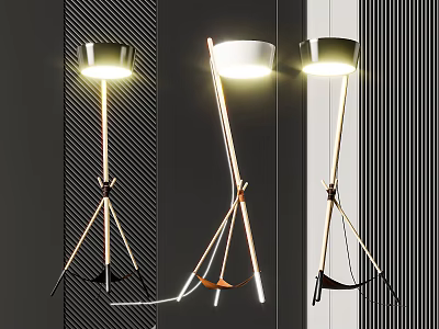 Contemporary Floor Lamps With Tripod Stand Round Shades And Illuminated Design For Modern Interior 3d model
