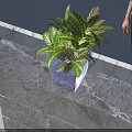 Marble Reception Desk In Welcoming Area With Dark Blue Wall Striped Decoration And Potted Plant