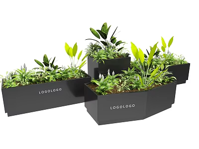 Potted Bonsai Plants In Black Planters With Various Green Foliage 3d model