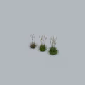 Stylish Selloanas Cortaderas 2.2 Mts Decorative Grass Ornament Set for Home Decor