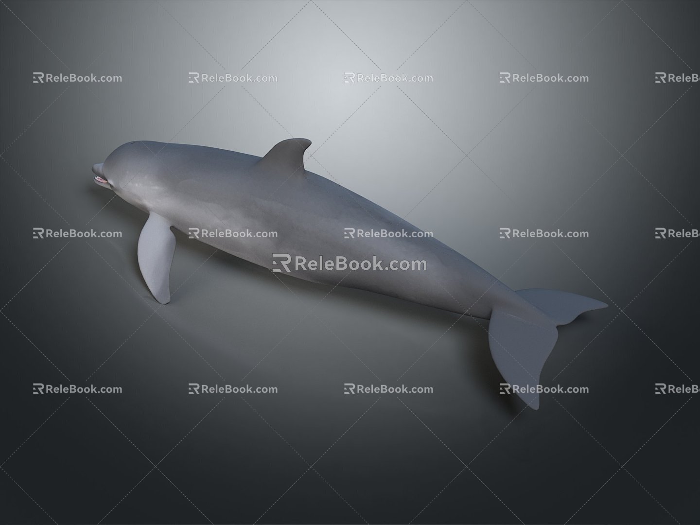 Spotting Dolphin Dolphin Cartoon Dolphin Animation Dolphin Animation Dolphin Animation Character Game Character 3d model