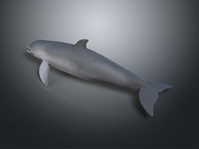Lifelike Gray Dolphin Decorative Figurine Model Resin Ornament For Home Decoration 3d model