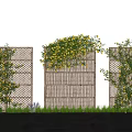 Vines With Yellow Flowers Climbing On Bamboo Screens Against White Wall And Stone Pathway