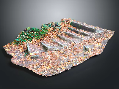 Autumn Outdoor Stone Steps Covered With Fallen Leaves And Green Plants 3d model