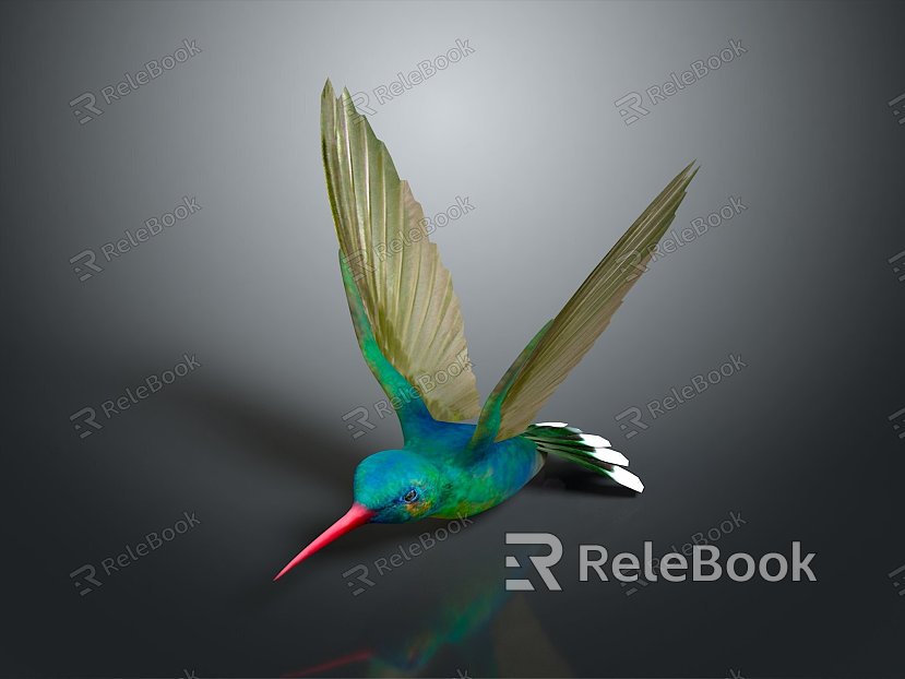 bird bird bird hummingbird bird bird animal game animal cartoon character game character model