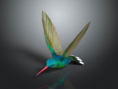 bird hummingbird bird animal game animal cartoon character game character 3d model