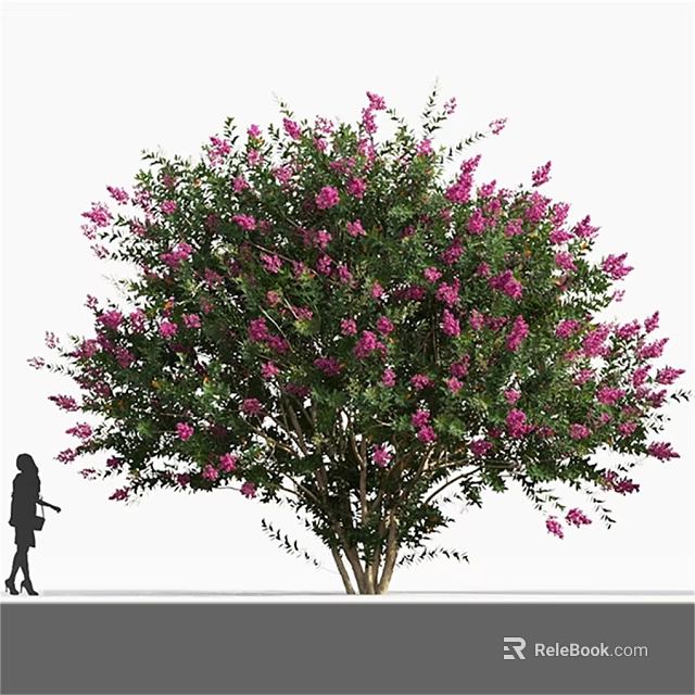 Ornamental Arbor with Vibrant Pink Blossoms and Lush Green Foliage in Garden Landscape Design 3d model 