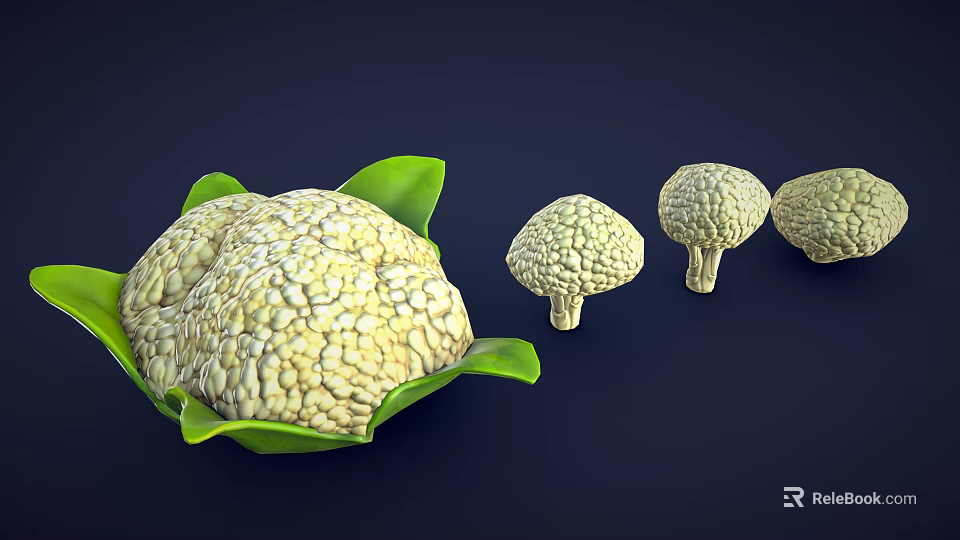 Fresh Cauliflower with Green Leaves and Different Sizes on Dark Background 3d model 