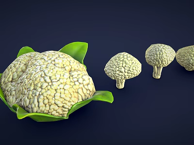 Fresh Cauliflower with Green Leaves and Different Sizes on Dark Background 3d model
