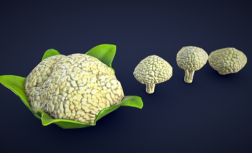 stylized cauliflower cartoon cauliflower vegetables cartoon vegetables 3d model