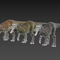 Vivid Dinosaur Models With Three Different Colors And Lifelike Details