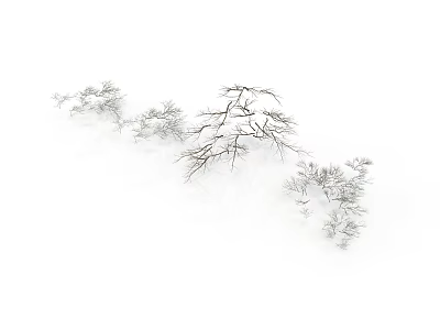 Snow Covered Plant Branches on White Background in Winter Nature Scene 3d model