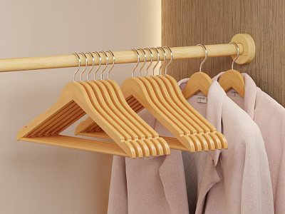 Tidy Walk in Closet Interior With Wooden Hangers And Hanging Pink Garments 3d model