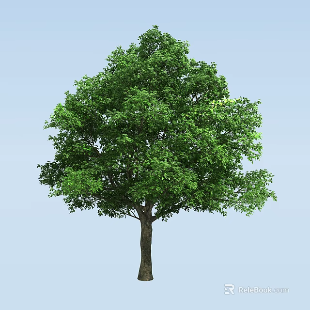 Lush Green Tree With Dense Foliage Strong Trunk Against Clear Blue Sky Background 3d model 