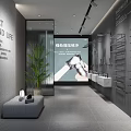 Modern Bathroom Showroom Interior With Green Plant Glass Partition And Towel Racks