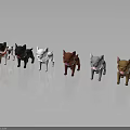 Different Colored French Bulldog Puppy Figurines On Smooth Surface With Reflection