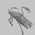 Game and Movie Fantasy Creature Character With Multi Legs Sharp Claws and Gray Blue Tones