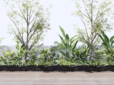 Lush Green Flowering Plants and Tall Trees with Foliage in Black Planters on Wooden Floor 3d model