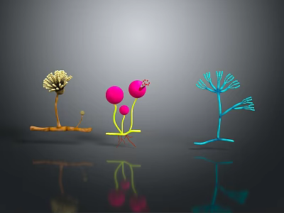 Abstract Organs And Hair Like Structures In Colorful Design With Shiny Reflective Surfaces 3d model