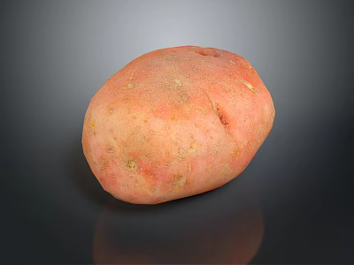 Single Fresh Organic Red Potato With Natural Skin Texture On Dark Background Surface 3d model