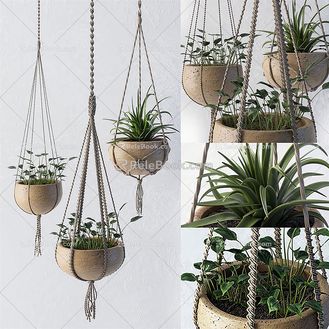 Modern hanging basket green plant potted hanging basket 3d model