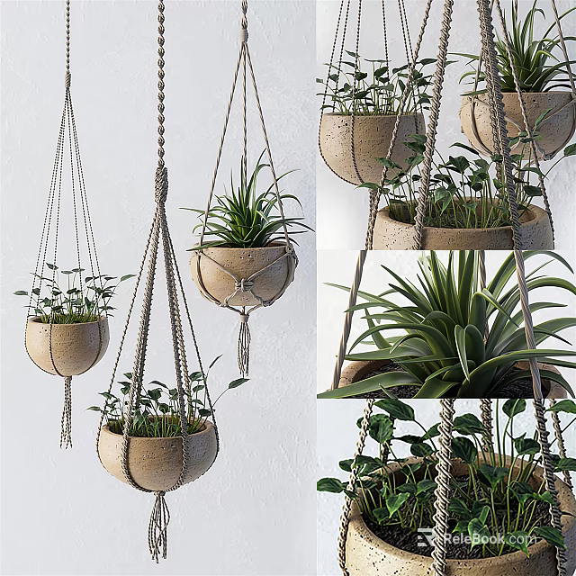 Macramé Hanging Planters with Green Succulents and Trailing Plants for Indoor Decor 3d model 