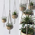 Macramé Hanging Planters with Green Succulents and Trailing Plants for Indoor Decor