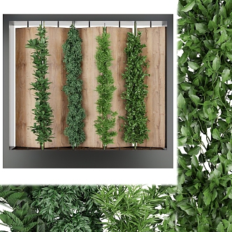 Modern Plant Wall 3d model