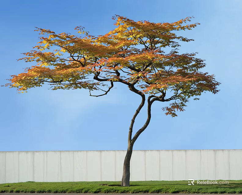 Curved Trunk Arbor With Orange Yellow Leaves Against Blue Sky White Wall Green Grass 3d model 