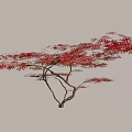 Autumn Arbor With Vibrant Red Leaves And Brown Branches On White Background