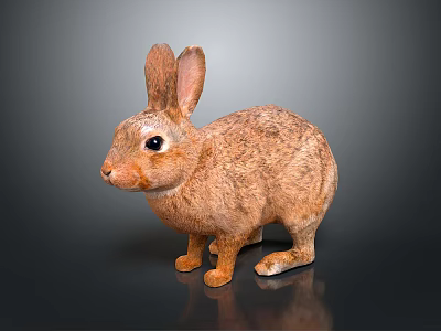 Brown Rabbit With Long Ears And Fluffy Fur In Standing Pose 3d model