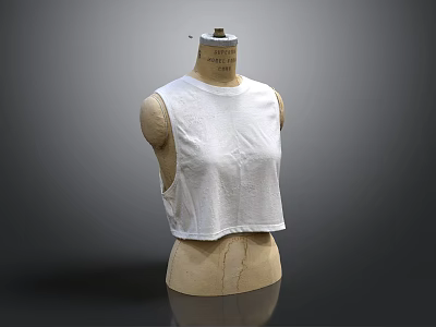 Mannequin Wearing White Sleeveless Cropped Top With Soft Fabric On Gray Minimalist Background 3d model