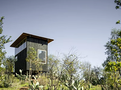 Black Wooden Guesthouse Building Exterior With Large Windows And Hillside Greenery 3d model