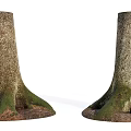 Natural Stone And Wood Tree Stumps With Mossy Roots And Textured Bark