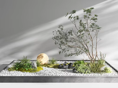 Indoor Landscape With White Gravel Moss Greenery Round Decorative Ball And Black Stones In Tray 3d model