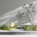 Indoor Landscape With White Gravel Moss Greenery Round Decorative Ball And Black Stones In Tray
