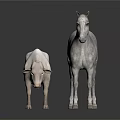 White Horse And Sheep Standing Together On White Background