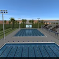 Large Outdoor Swimming Pool With Starting Blocks Spectator Seats And Palm Trees