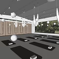 Modern Fitness Studio With Yoga Mats Hanging Rings Wooden Lockers Fitness Ball And Green View