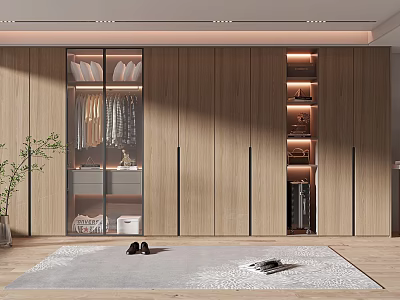 Modern Wooden Wardrobe With Glass Door Hanging Clothes Open Shelves And LED Lighting 3d model