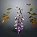 Wisteria Branches Featuring Purple Flower Clusters Green And Yellow Leaves On Dark Background